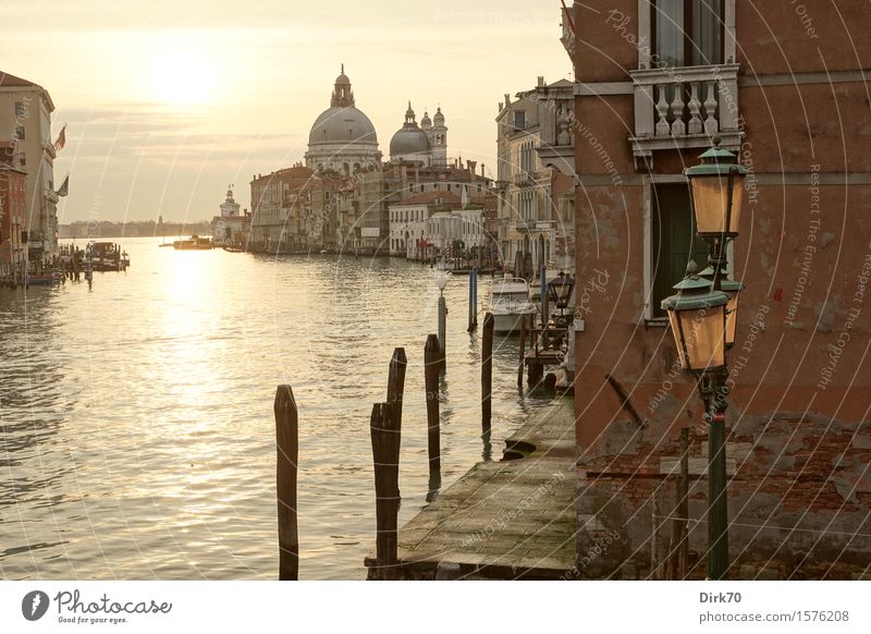Santa Maria della Salute and the Canal Grande Vacation & Travel Tourism Sightseeing City trip Sun Sunrise Sunset Sunlight Spring Beautiful weather Venice Italy