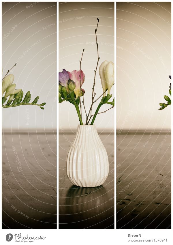 3x1 Plant Flower Leaf Blossom Brown Green White Bouquet Flower vase Wood Vase Colour photo Subdued colour Interior shot Studio shot Detail Deserted