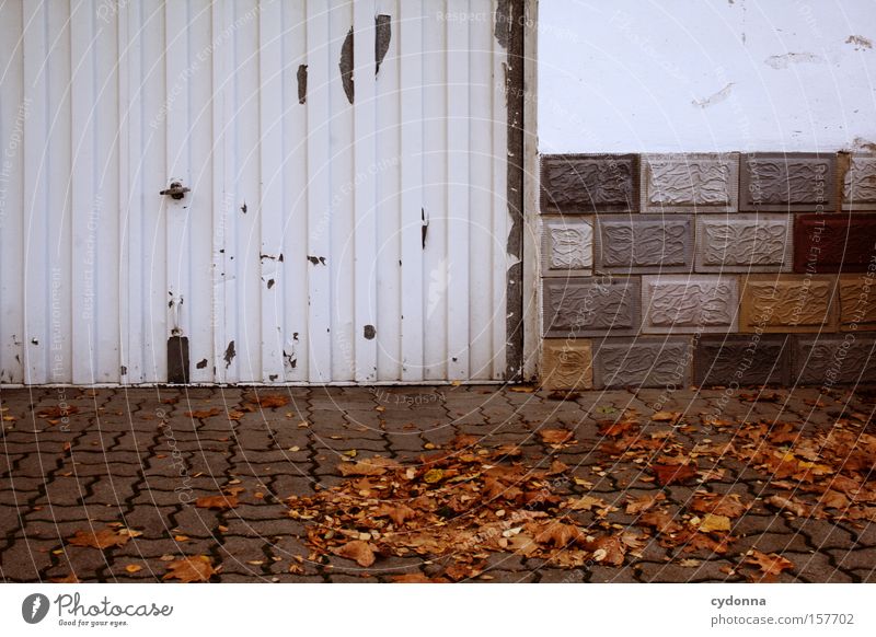 exit Autumn Leaf Multicoloured Garage House (Residential Structure) Sidewalk Wind Gloomy Seasons Wall (barrier) Transience Living or residing Beautiful Esthetic