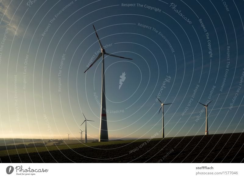 Windy harvest in the morning Energy industry Technology Renewable energy Wind energy plant Environment Landscape Earth Air Sky Sunrise Sunset Spring Climate