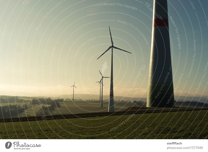 Sunrise wind harvest Energy industry Technology Renewable energy Wind energy plant Environment Landscape Earth Air Sky Sunlight Spring Climate Weather