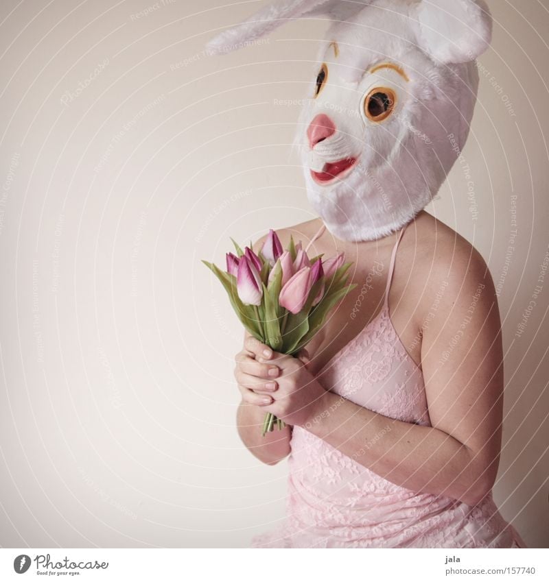 Flowers? For me? Hare & Rabbit & Bunny Easter Bunny Carnival Dress up Animal White Funny Woman Ear Love Mask Costume Joy