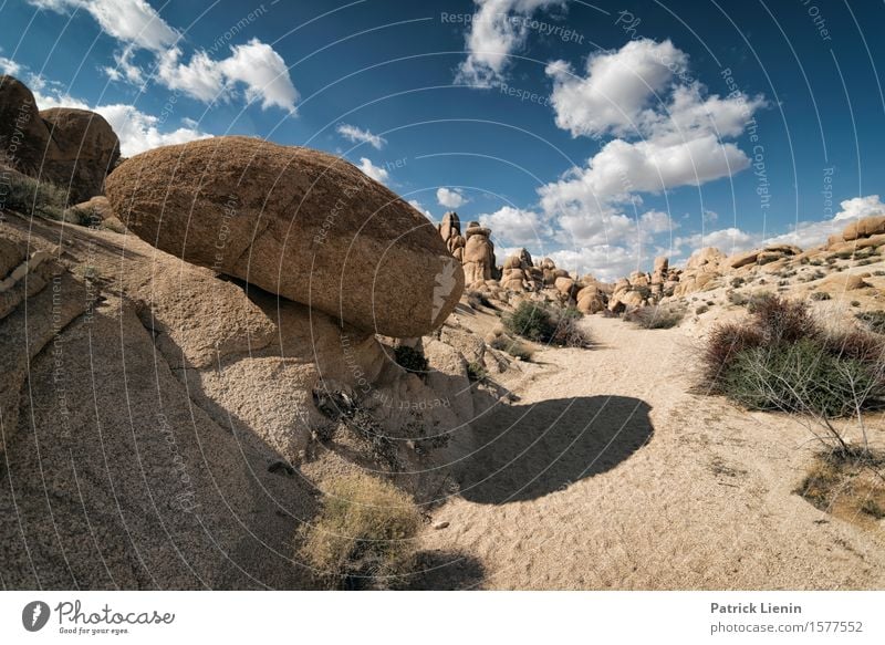 Desert Solitaire Beautiful Wellness Life Harmonious Well-being Vacation & Travel Adventure Expedition Summer Mountain Environment Nature Landscape Sky Clouds