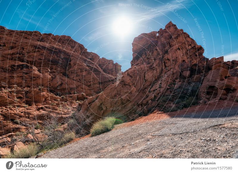 Valley of the Fire Beautiful Harmonious Well-being Contentment Vacation & Travel Adventure Far-off places Expedition Summer Sun Mountain Environment Nature