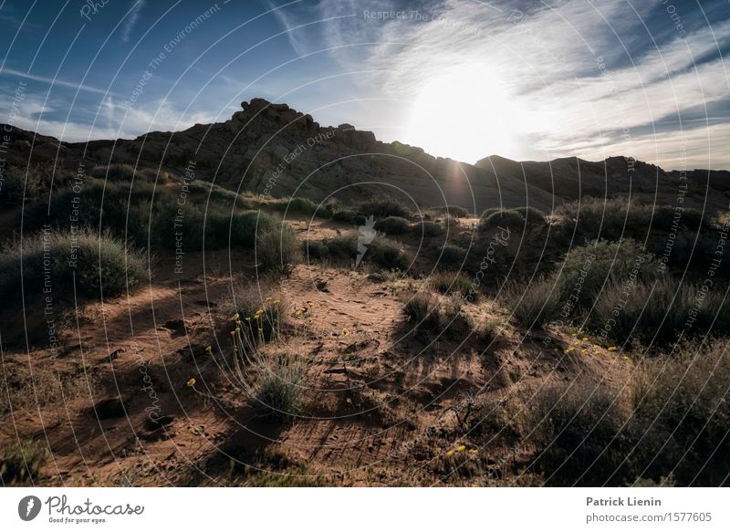 Desert Evening Beautiful Vacation & Travel Adventure Far-off places Expedition Summer Sun Mountain Environment Nature Landscape Plant Elements Earth Sky Clouds