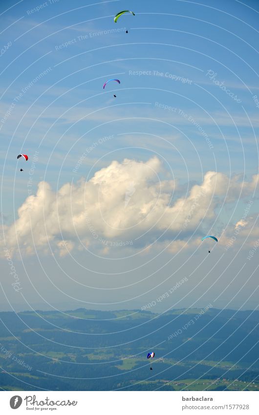 They're flying again Sports Paragliding Human being Group Nature Landscape Elements Earth Air Sky Clouds Climate Wind Alps Mountain Forest of Bregenz Flying
