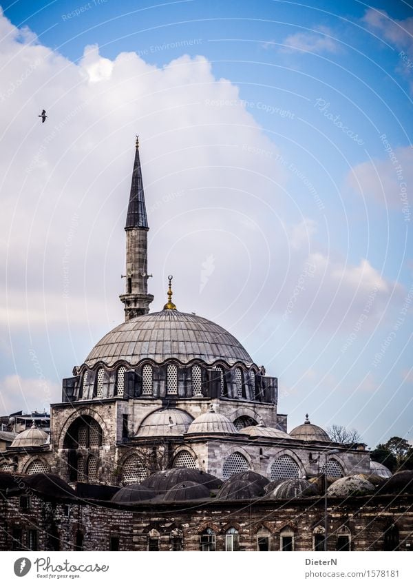 mosque Architecture Istanbul Town Capital city Downtown Old town Deserted Church Tourist Attraction Landmark Monument Mosque Blue Black White Sky Clouds Tower