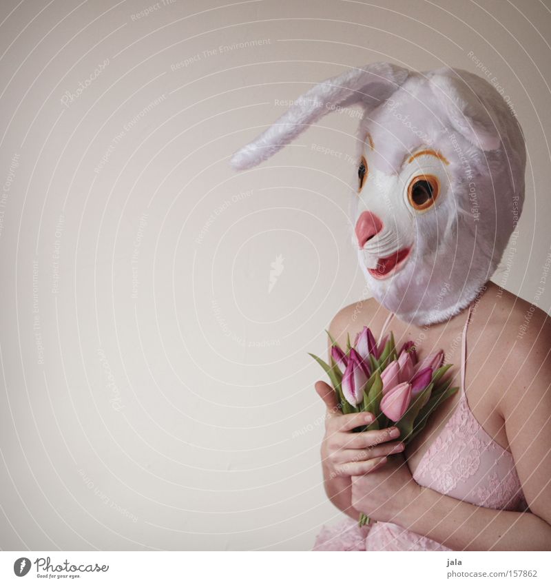 You touched my rabbit heart. Hare & Rabbit & Bunny Easter Bunny Carnival Dress up Animal White Funny Woman Love Mask Costume Flower Joy