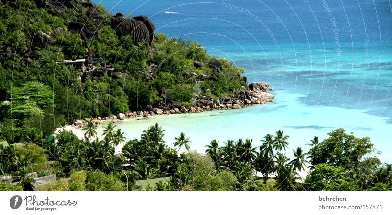 A piece of heaven Seychelles Palm tree Dream island Honeymoon Wanderlust Beach Bay Water Ocean Reef Snorkeling To enjoy Coast Praslin Vacation & Travel