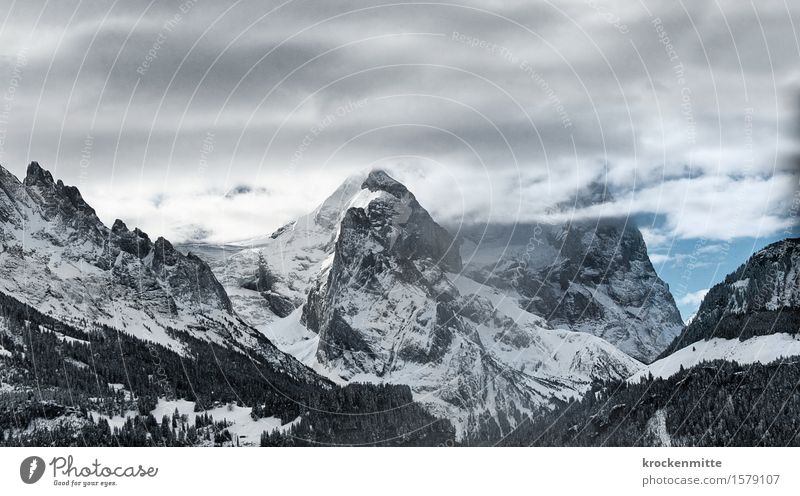 time is endless Environment Nature Landscape Elements Sky Clouds Storm clouds Winter Tree Hill Rock Alps Mountain Peak Snowcapped peak Hiking Blue Gray