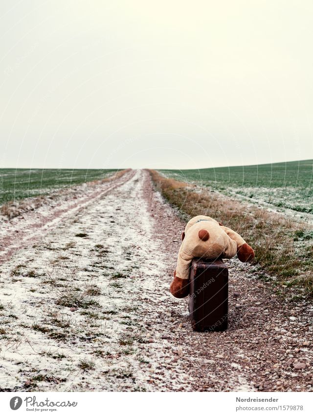 on the way Playing Vacation & Travel Spring Autumn Winter Climate Snow Grass Field Street Lanes & trails Suitcase Teddy bear Sign To fall Wait Emotions Sadness