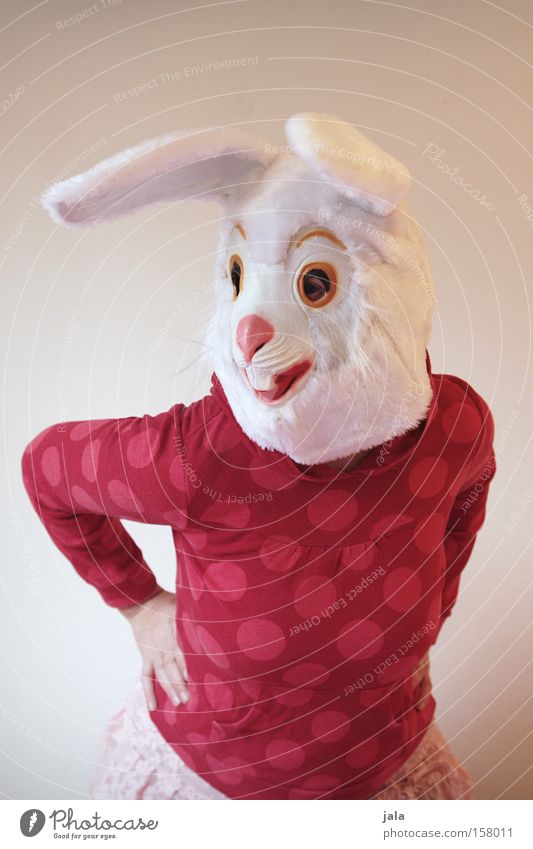 Swing your hips, Hasi. Hare & Rabbit & Bunny Easter Bunny Carnival Dress up Animal White Funny Woman Mask Costume Dance Joy