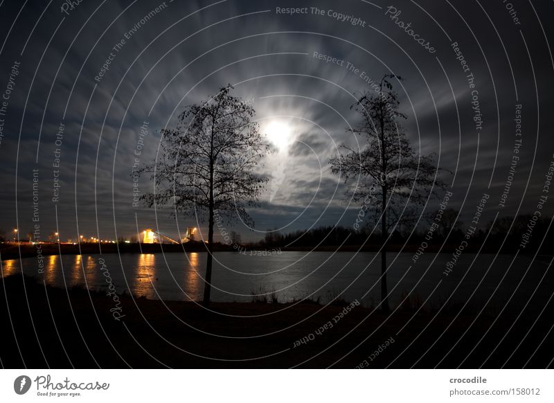 Moonlight over the lake Star (Symbol) Night Winter Cold Romance Bavaria Frozen Gravel plant Lake Lake Baggersee Ice Tree Dark Clouds Long exposure Beautiful