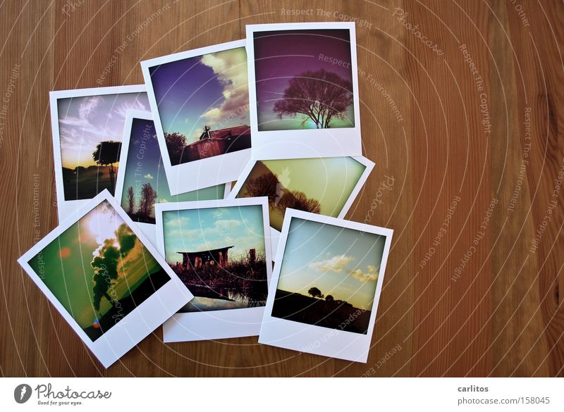 Your Downloadcredit account has been credited with 48 credits. Wood Lie Photography Memory Fat finger Photographic technology photo collection Polaroid