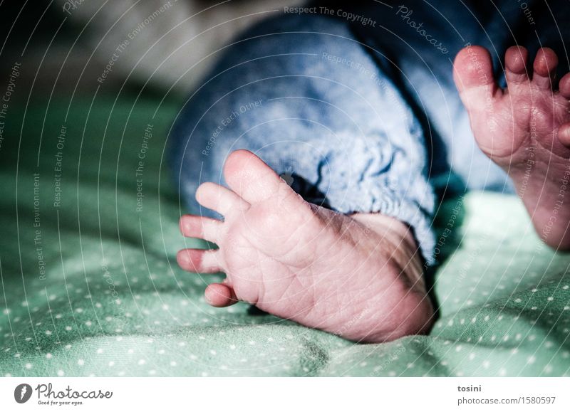 Feet of a newborn Baby Green Spotted Blue Shallow depth of field blurriness Pants waistband Toes Barefoot Wrinkles Diminutive pretty Footprint Lanes & trails