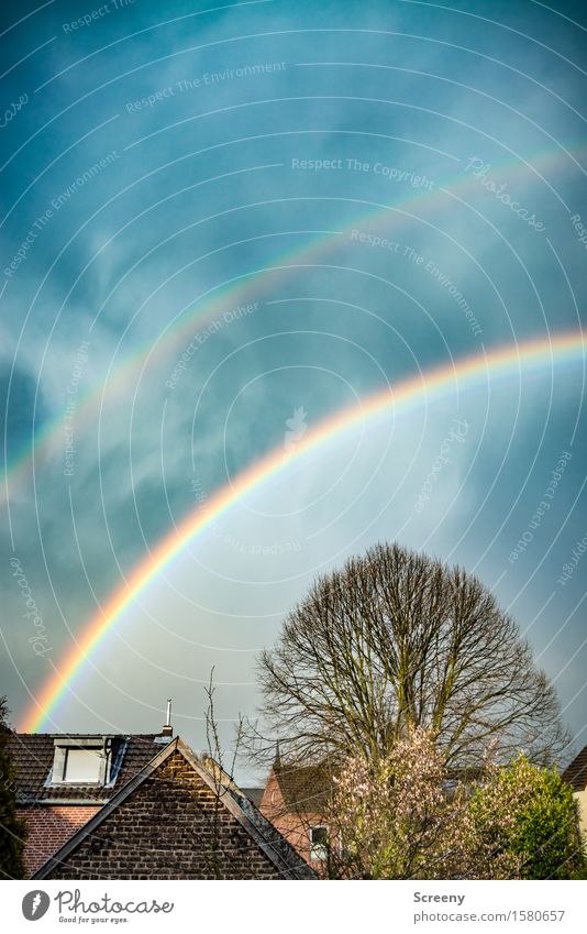Somewhere under the rainbow 600. Nature Plant Sky Sunlight Spring Rain Tree Village House (Residential Structure) Roof Eaves Round Multicoloured Happy