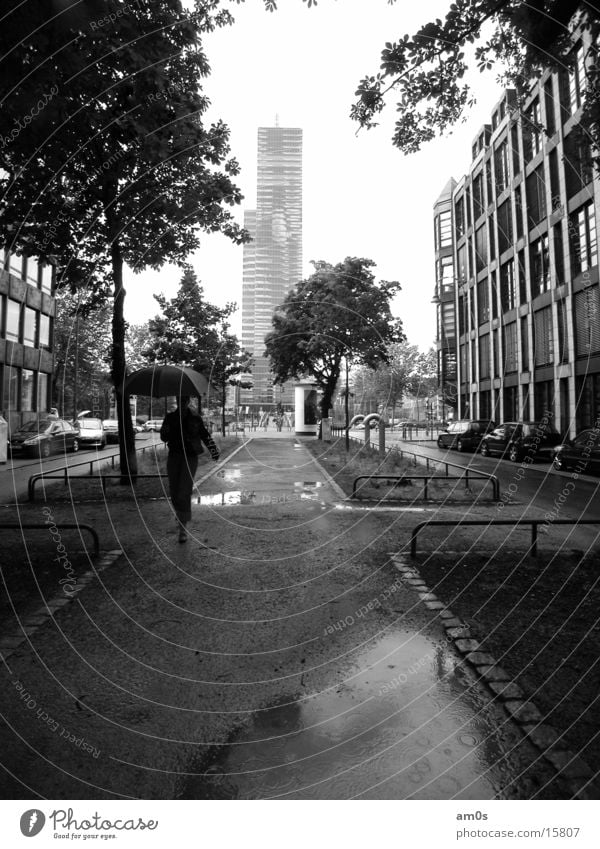 Cologne Mediapark High-rise House (Residential Structure) Woman Umbrella Wet Tree Alley Architecture Lady Rain Water