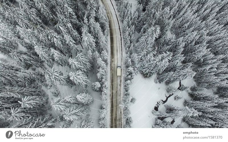 Aerial view of a snowy forest with high pines and road with a car in the winter Winter Snow Mountain Nature Landscape Tree Forest Street Car Aircraft Freeze