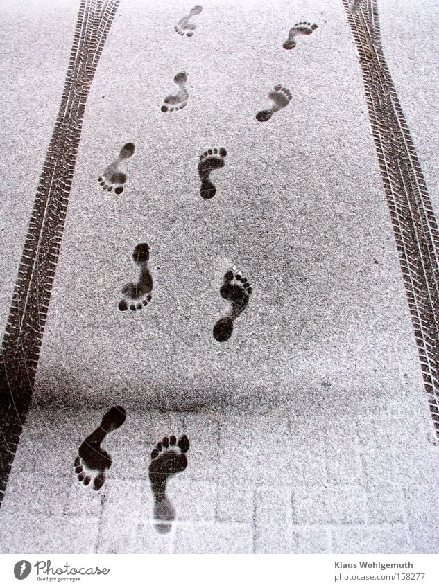 Traces of bare feet between tire marks in fresh snow Winter Snow Feet Tire tread Human being Stride Cold Footprint Black White Contrast Walking Freeze Street