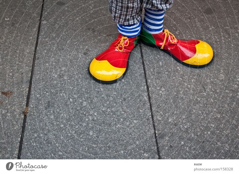 Clown Hoppla Joy Feasts & Celebrations Carnival Human being Feet 1 Stockings Footwear Funny Multicoloured Yellow Red Funster Striped socks Detail Costume