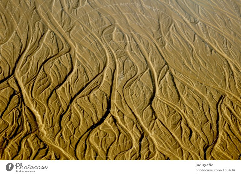 beach shapes Sand Beach Structures and shapes Gutter Flow Nature Rinse Ocean North Sea Sylt Coast Mountain Valley Mouth of a river Colour River sluiced out