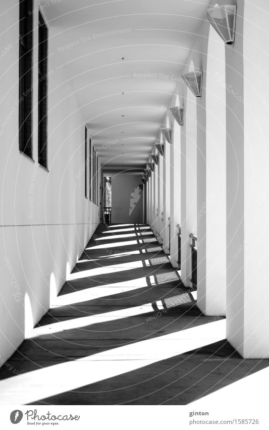 Shadows in the narrow corridor Lamp Tunnel Building Architecture Wall (barrier) Wall (building) Sharp-edged Black White Symmetry Corridor piers buttresses