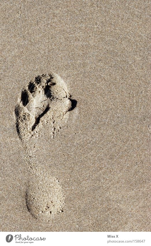 A small step for Photocase, a big step for me Colour photo Exterior shot Vacation & Travel Summer Beach Ocean Feet Sand North Sea Footprint Walking Hiking