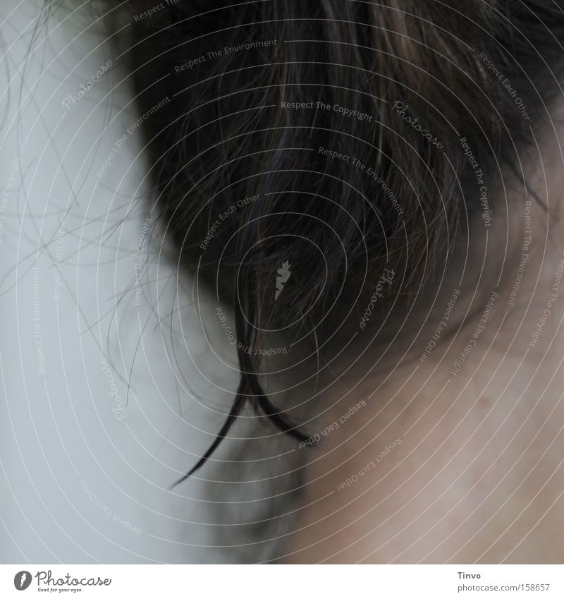 up to the peaks 2 Hair and hairstyles Strand of hair Tip of the hair Woman Brunette Close-up Blur Neck Head Nape Nature nape of the neck