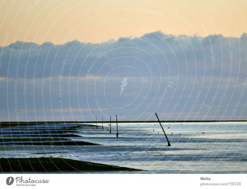 Winter Lake Ocean North Sea Coast Beach Break water Clouds Sky Empty Loneliness Water Low tide Vacation & Travel Calm