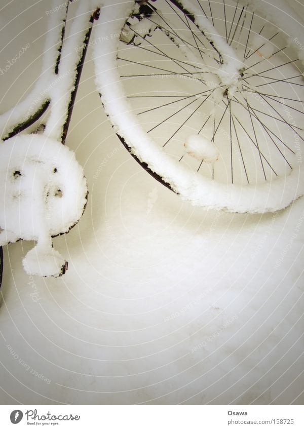 doping Snow White Virgin snow Bicycle Wheel Ladies' bicycle Tour de France Playing
