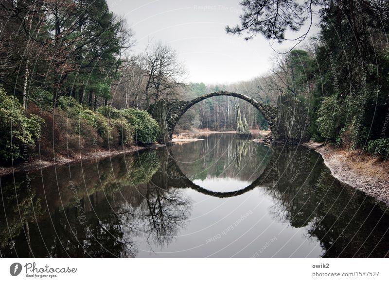 Rakotzbrücke Art Work of art Environment Nature Landscape Plant Water Sky Horizon Spring Beautiful weather Tree Bushes Garden Park Lake Bridge