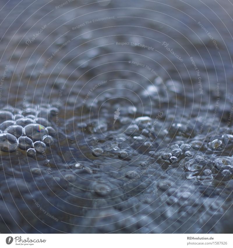 blubber Water Wet Bubbling Bubble Well Colour photo Subdued colour Exterior shot Deserted Copy Space top Copy Space bottom Day Blur Shallow depth of field