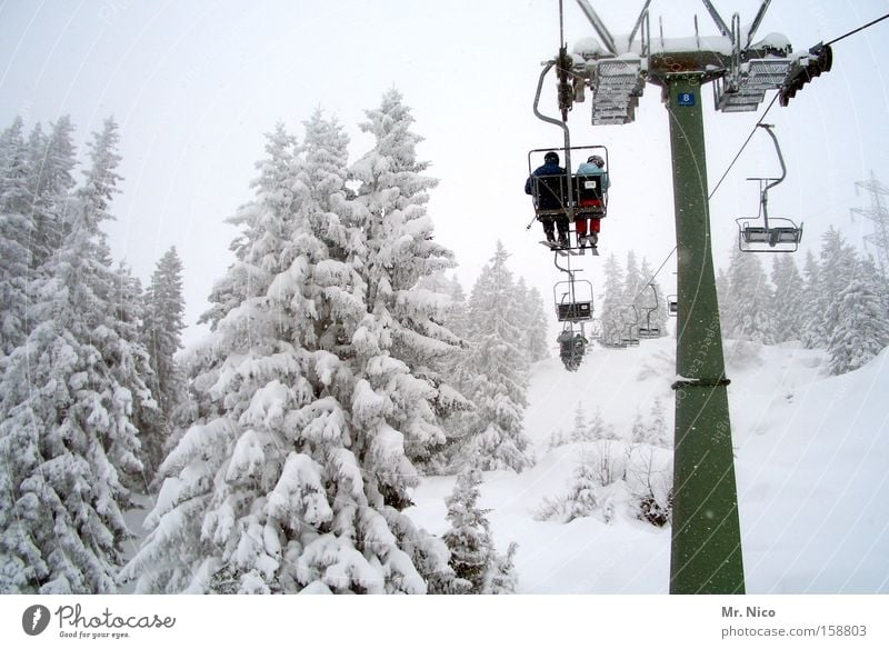 Afterwards Chair lift Winter White Chase Winter vacation Nature Cold Hover Seasons Winter sports Ski resort Winter forest Snow two-seater
