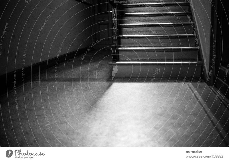 Downhill Stairs Hallway Staircase (Hallway) Town house (City: Block of flats) Stone floor Loneliness Cold Going Escape Analog Cellar Architecture