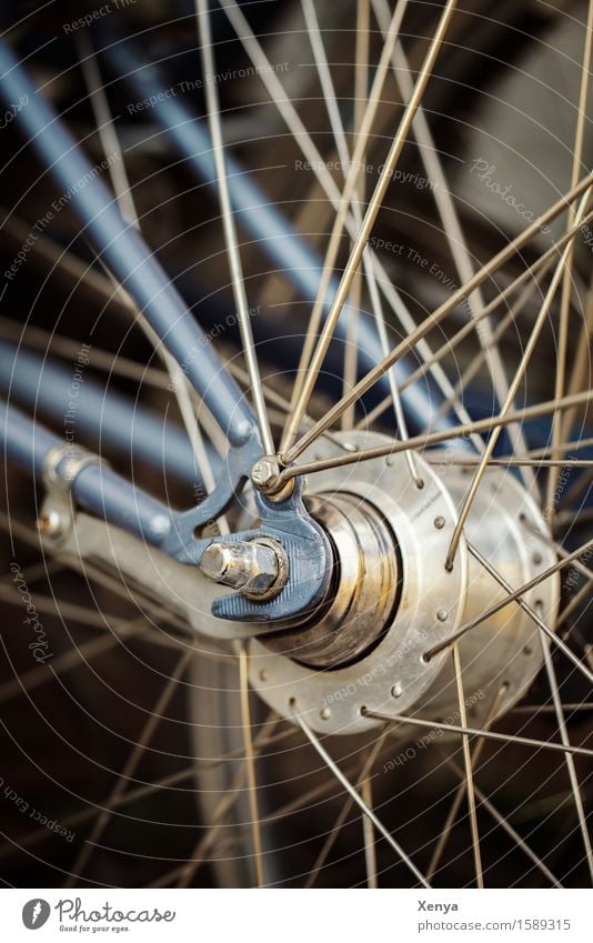 Wheel spokes Bicycle Metal Blue Silver Spokes Muddled Screw Exterior shot Close-up Deserted Colour photo Day Detail Subdued colour Means of transport