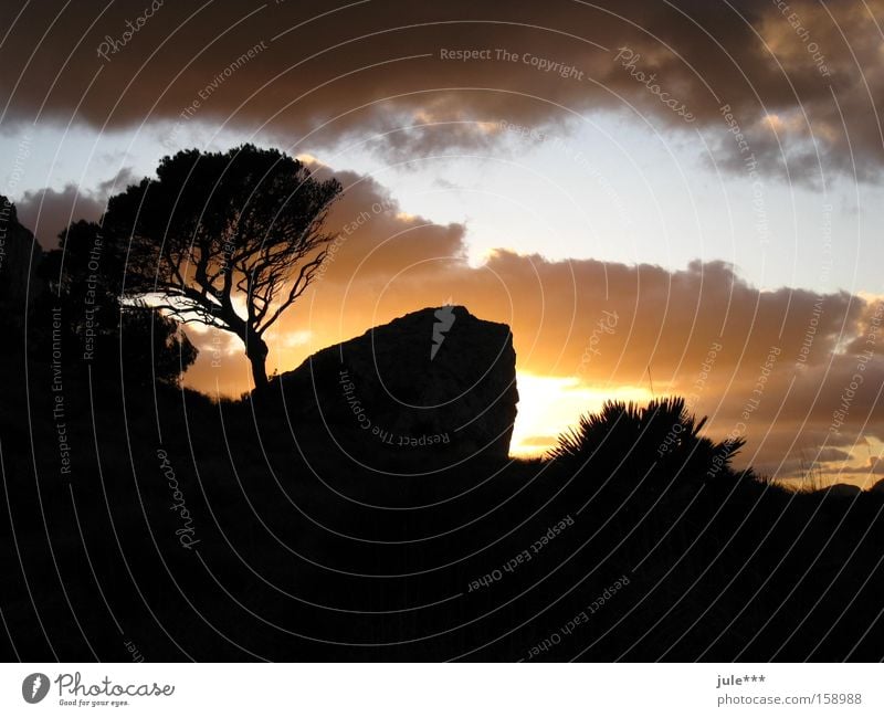 Sunset Twilight Evening Clouds Stone pine Dark Shadow Skyline Horizon Mysterious Mountain