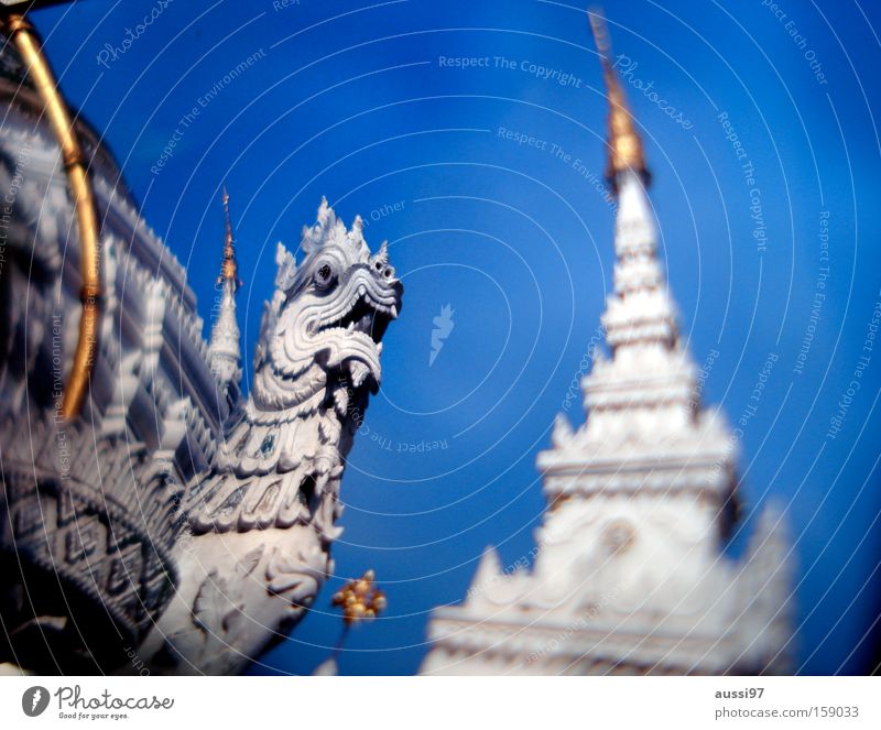 Thai wiskey got me drunk. Washed out Blur Smoke-filled Go under Temple Thailand Asia intoxicated smashed veneered Dragon