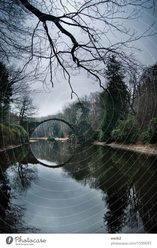 Hole in the landscape Environment Nature Landscape Plant Sky Clouds Horizon Weather Tree Bushes Lakeside Manmade structures Arched bridge Round Idyll