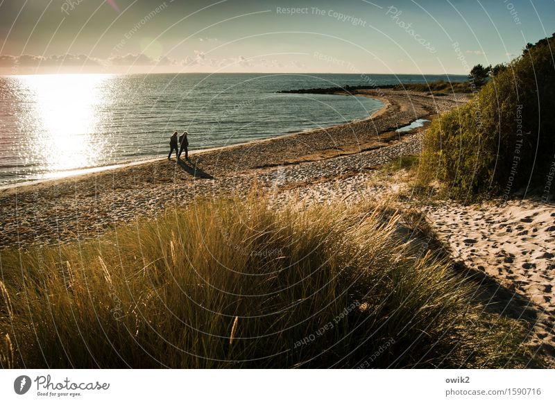 seascape Human being Woman Adults Man 2 Environment Nature Landscape Plant Sand Air Water Sky Clouds Horizon Autumn Beautiful weather Grass Bushes Coast