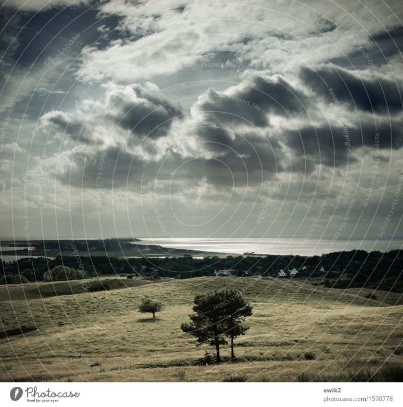 Autumn at Hiddensee Environment Nature Landscape Plant Water Sky Clouds Horizon Climate Beautiful weather Tree Grass Bushes Baltic Sea Island Glittering