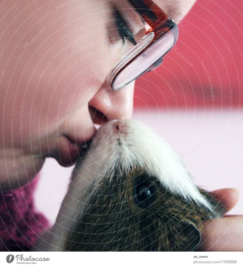 little kisses Feminine Girl Young woman Youth (Young adults) Face 1 Human being 13 - 18 years Animal Pet Animal face Pelt Petting zoo Guinea pig Rodent Touch