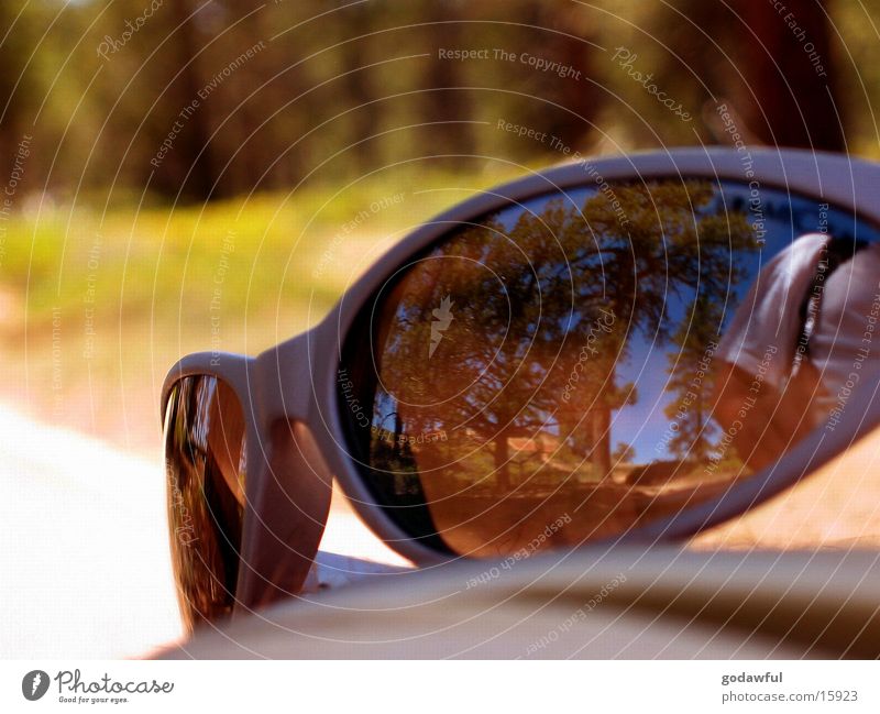 sun glasses Sunglasses Style Summer Physics Reflection Eyeglasses Photographic technology Warmth glacier