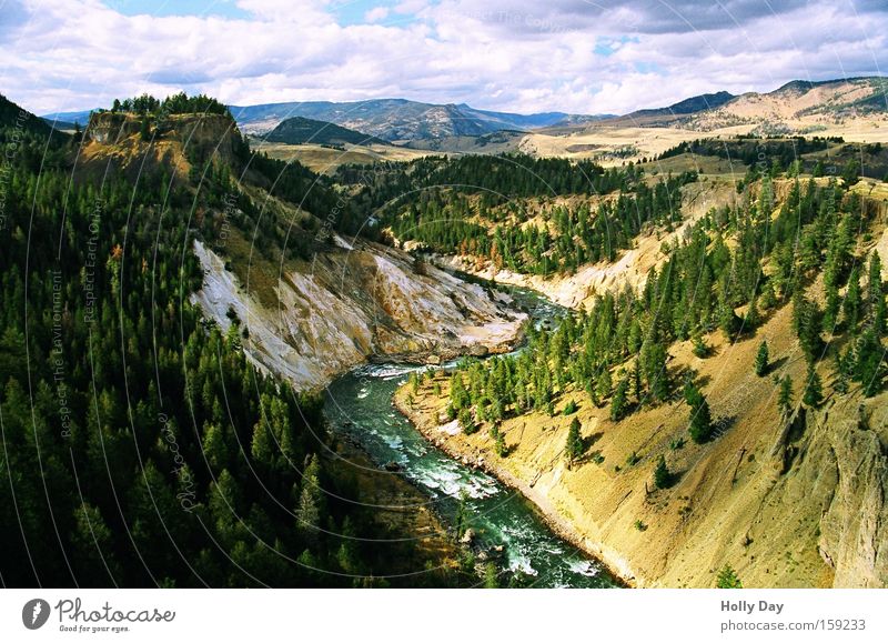 Yellowstone River Tree Green Slope Water Clouds Forest National Park Rock Rapid Landscape Shadow Brook USA Coast
