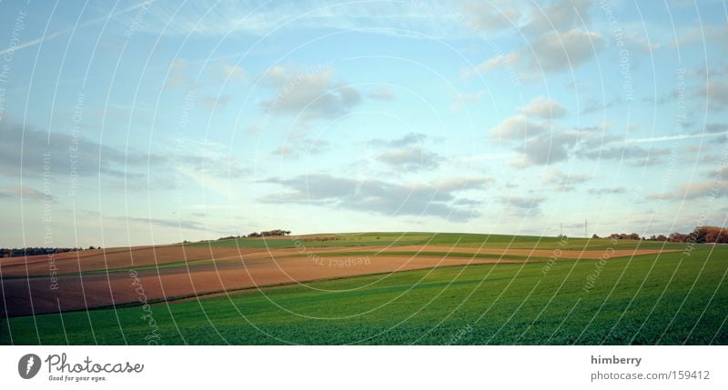 stockfield Field Agriculture Meadow Organic produce Organic farming Landscape Nature Seasons Panorama (View) Sky Clouds Spring Large Panorama (Format)