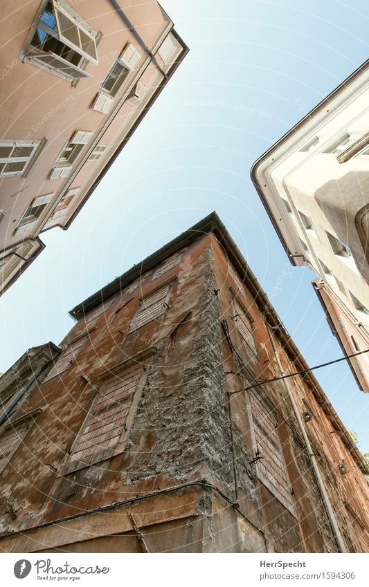 /Y Trieste Italy Downtown Old town House (Residential Structure) Building Architecture Wall (barrier) Wall (building) Facade Window Historic Town Brown Gray Red