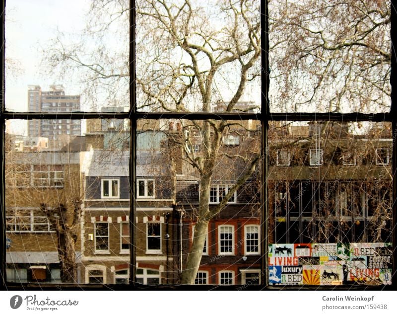 Hoxton Square. London England Great Britain Tree House (Residential Structure) Window Looking Vantage point Flat (apartment) Loft Living or residing