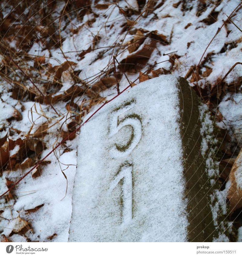 End of the one-and-twenty Digits and numbers Grave Tombstone Cemetery Snow Ice Cold Leaf Lie Rest Death Peace Eternity Grief Distress Transience
