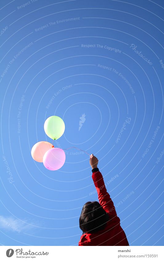 Let them fly ... Balloon Sky Blue Freedom Release Air Birthday Joy Summer Woman Upward