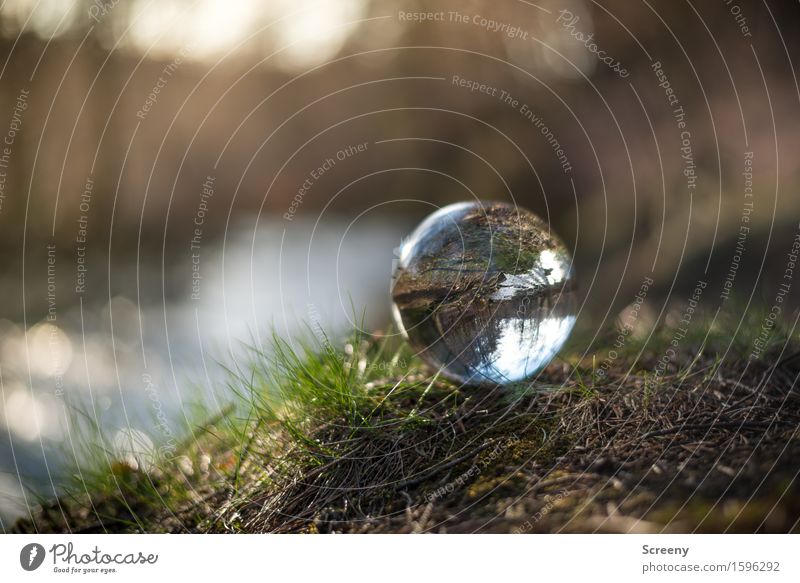 Close to the water... Nature Landscape Plant Earth Water Spring Grass Forest River bank Round Brown Green Serene Patient Calm Crystal ball Glass ball High Venn