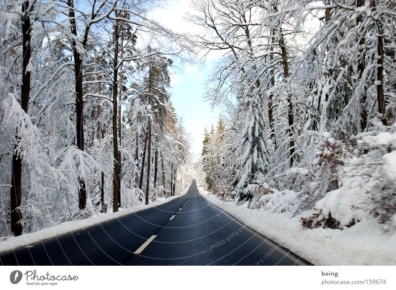 St2316 - Journey into the White Mountains Street Country road Snow Driving Winter Forest Winter maintenance program Smoothness Alpine Mud Traffic infrastructure